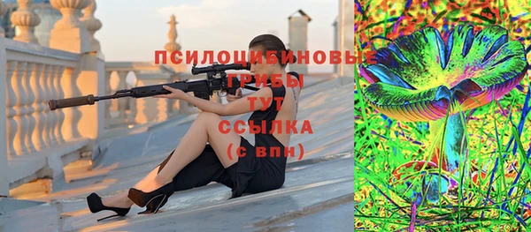 mdma Бородино