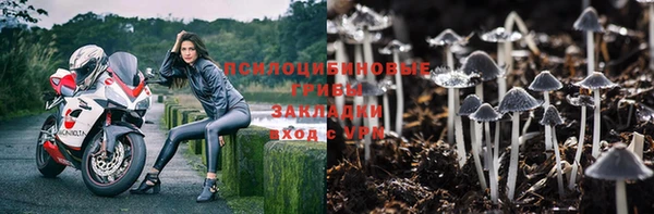 соль ск Бугульма