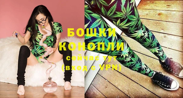 хмурый Бронницы