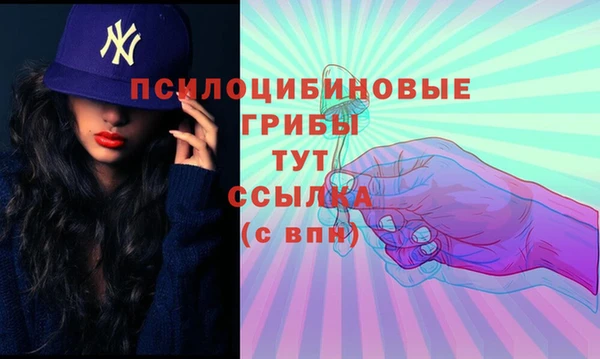 соль ск Бугульма