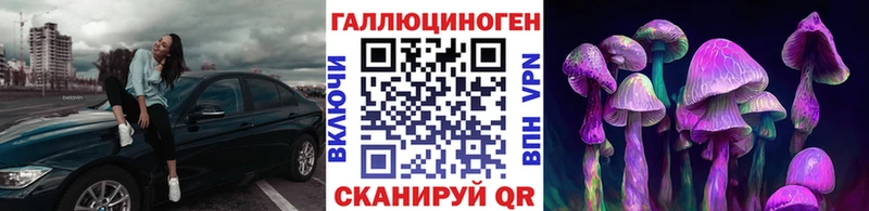Купить  Неман  Псилоцибиновые грибы MAGIC MUSHROOMS 